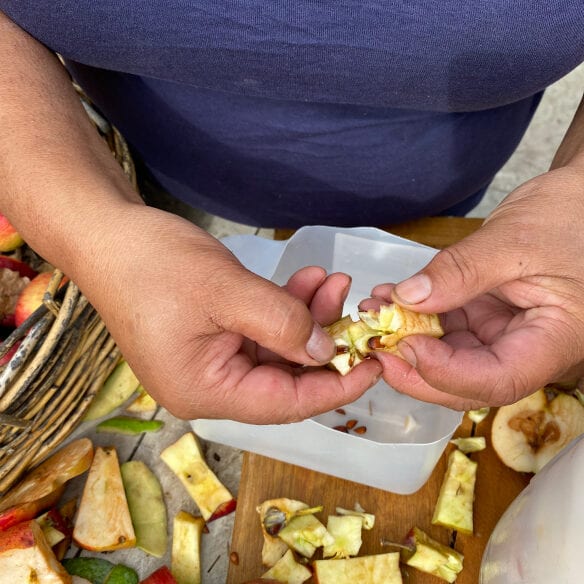 Celery quandong swiss chard