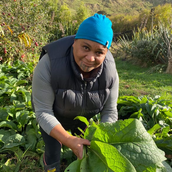 Veggies es bonus vobis